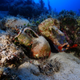 Illustration for article titled This Massive Shipwreck Graveyard Is Way Bigger Than Scientists Thought